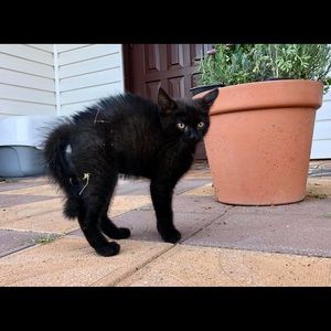 Meet your Posher, Charles